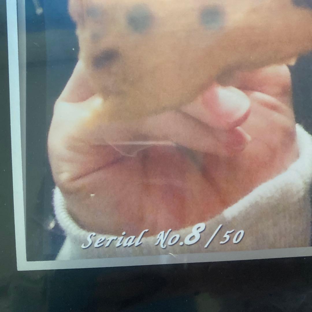 新品！堀北真希　50枚限定写真パネル③