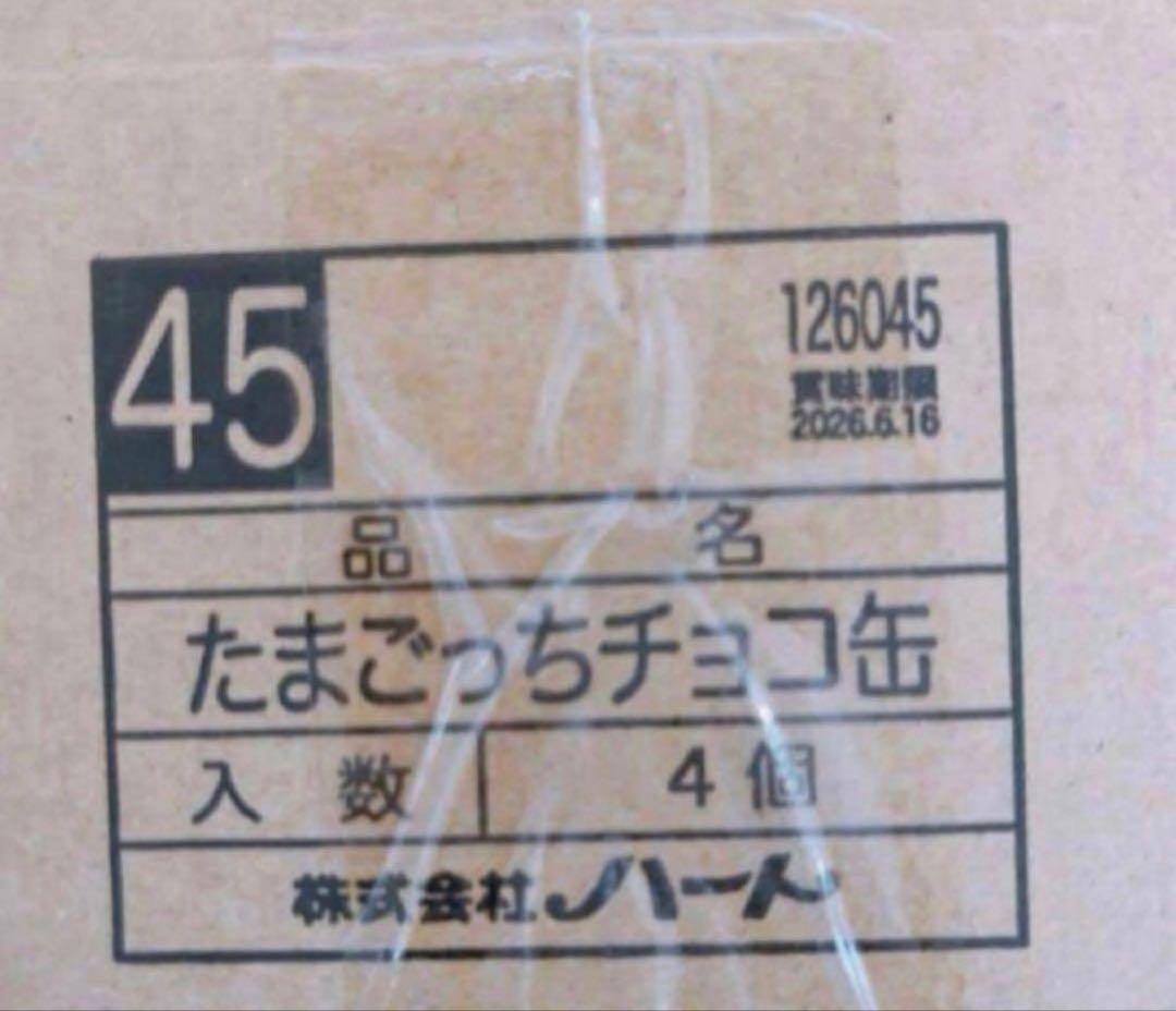 新品未開封　たまごっち　チョコ缶　４種セット×2くちぱっち　まめっち