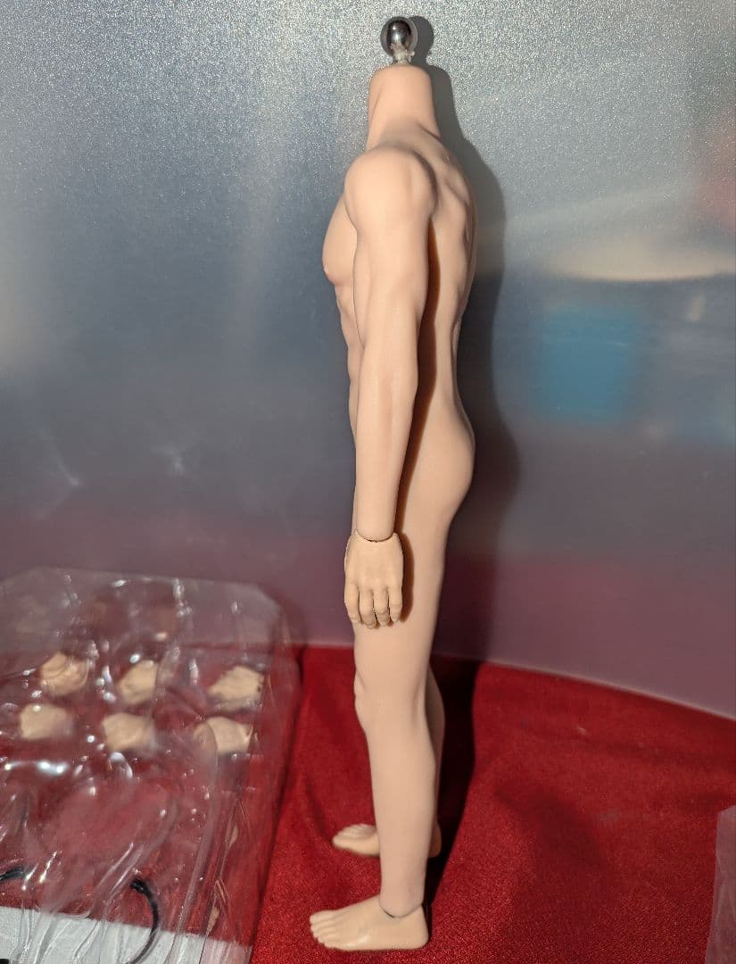 ジャンク JIAOU DOLL 1/6 シームレス・メール・ボディ フィギュア