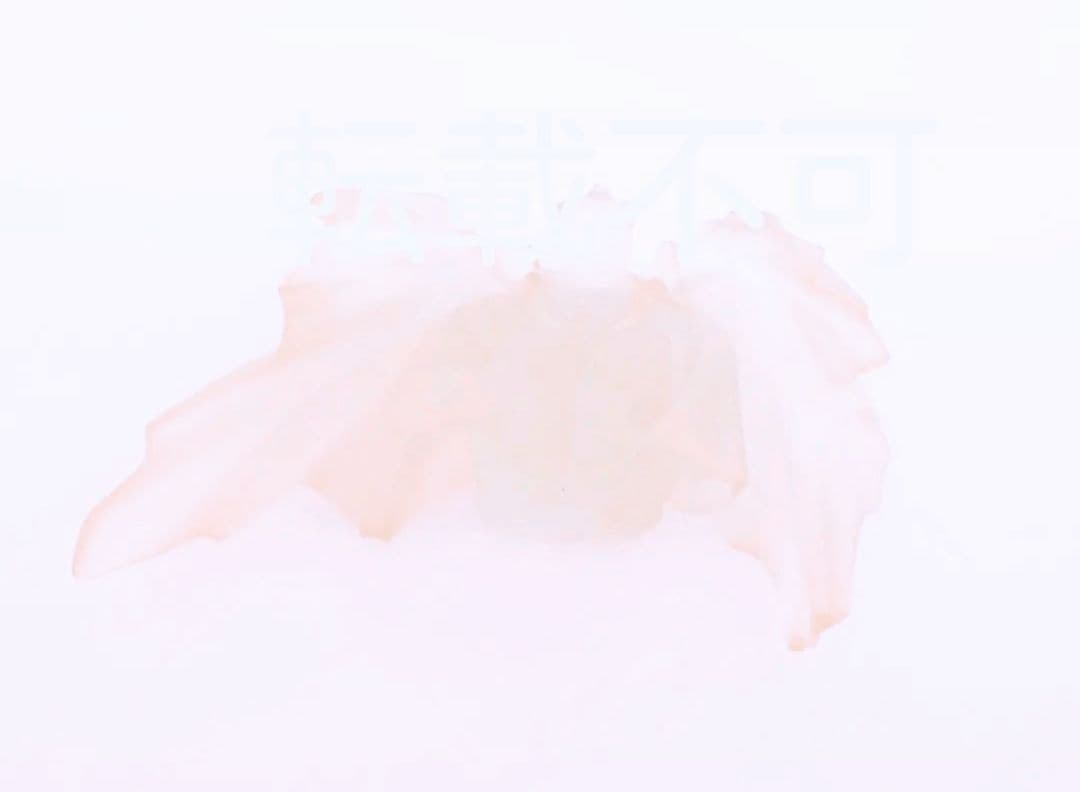 渚カヲル フィギュア クリア レジンキット エヴァ ワンフェス 海洋堂 浅井真紀