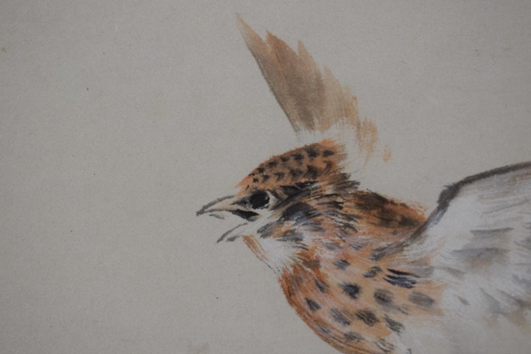 【真作】森田光達/雲雀図/ヒバリ/告天子/掛軸☆宝船☆Z-482