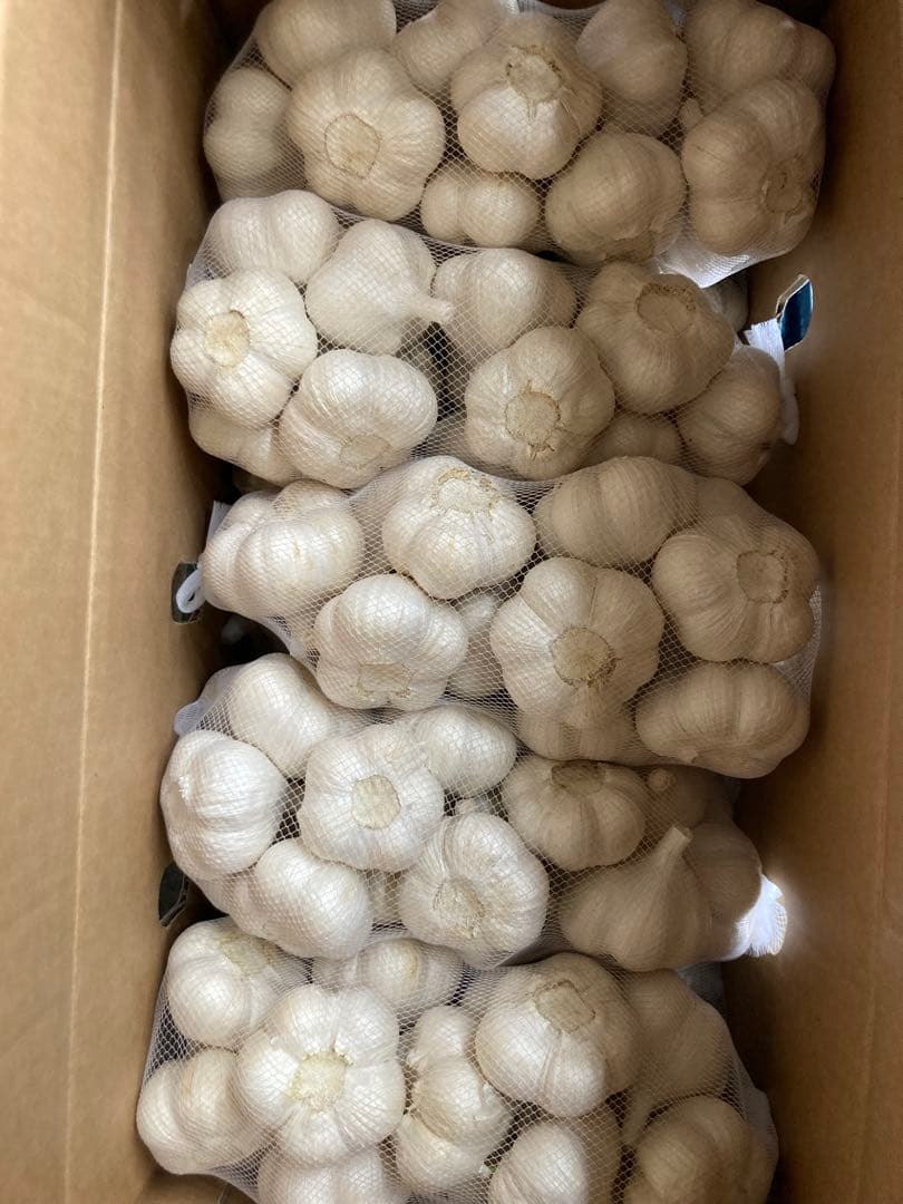 青森県産 AL にんにく 10kg