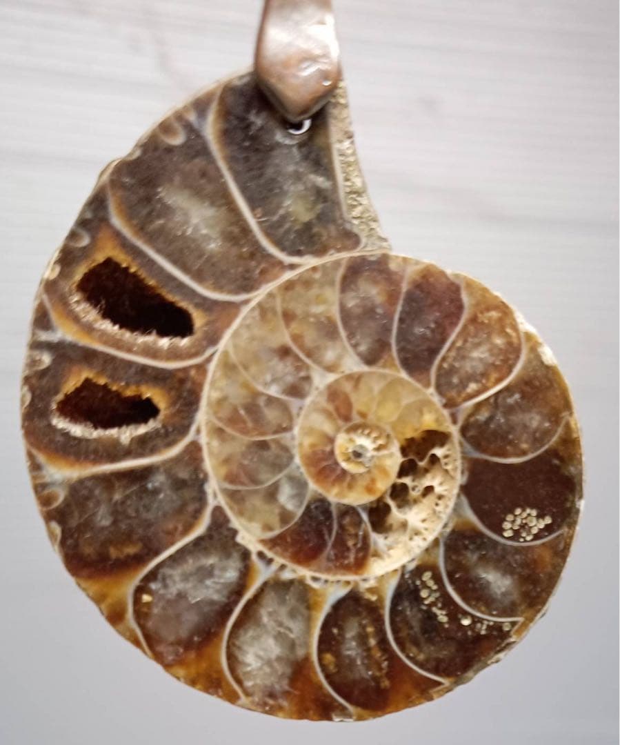 天然 アンモナイト アンティーク ペンダント ネックレス 2点 セット
