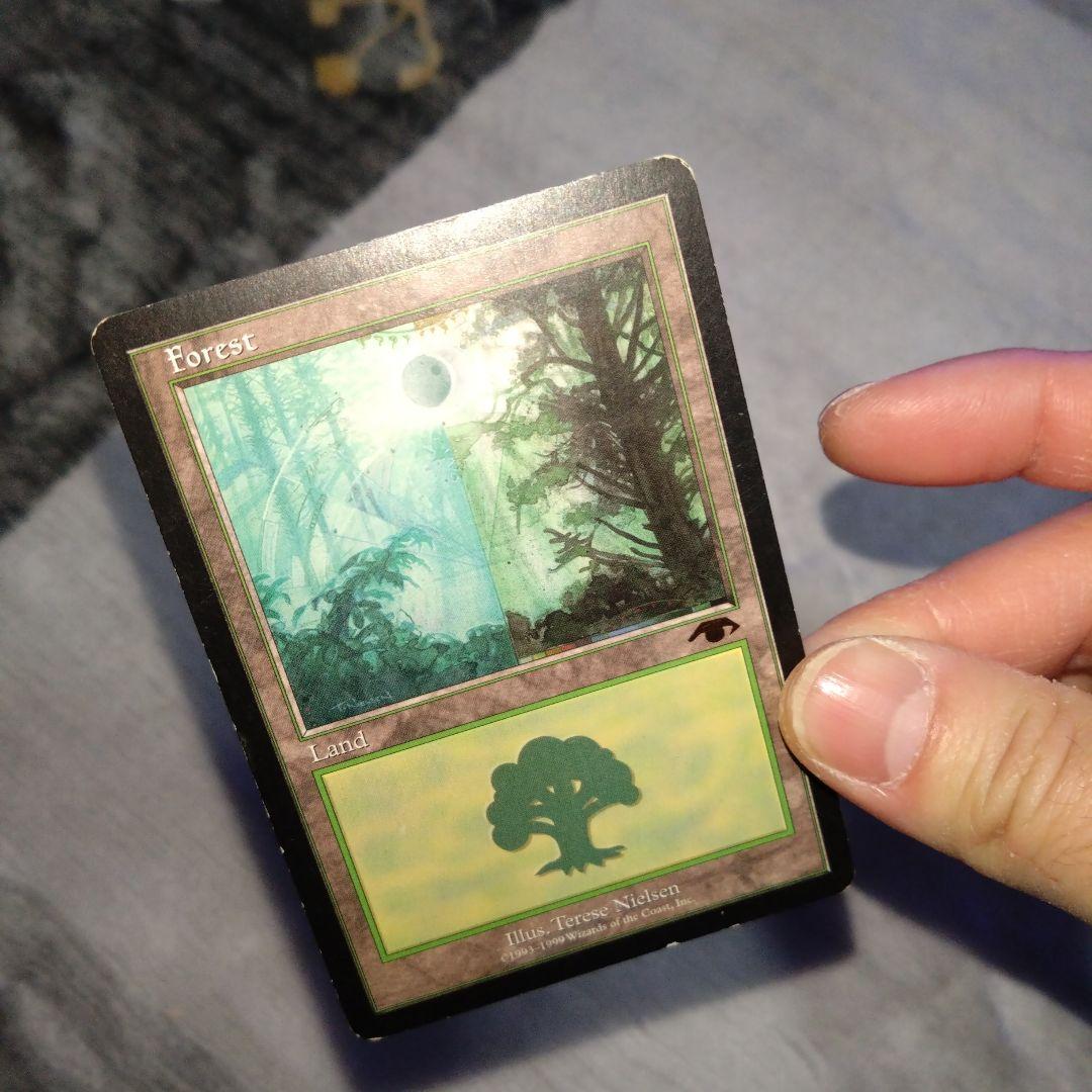 mtg guruランド　グルランド　森　PLD