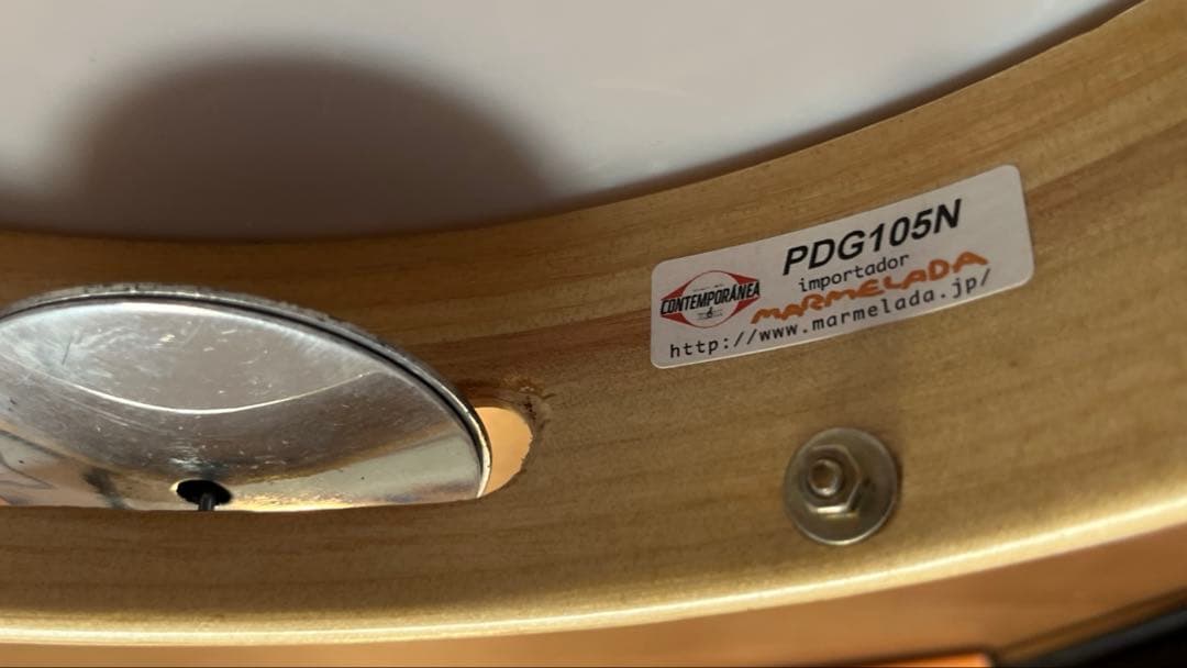 ビ*ン様 GINGA パンデイロ　PDG105N 直径約25cm