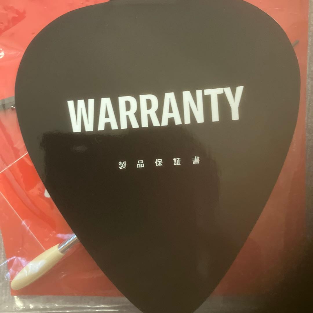 あ*な様 Fender Player II Series Stratocaste