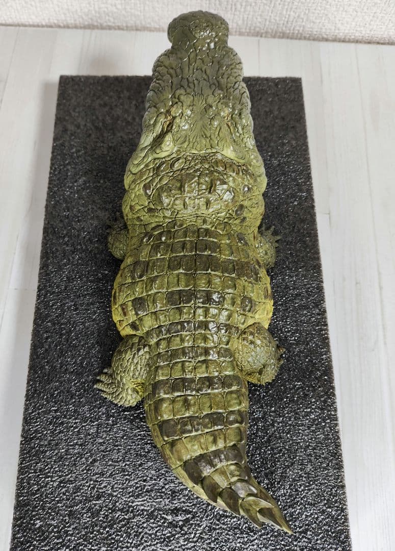 【動物の惑星】★ナイルワニ上海WF188体限定+オオアリクイ&シャチ★フィギュア