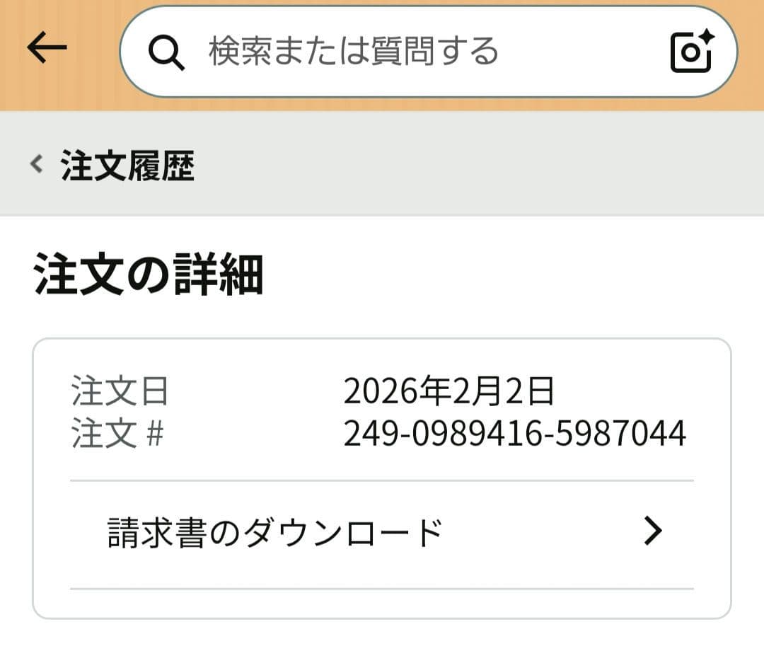BURTON バートン Swath スワス メンズ　26.0cm