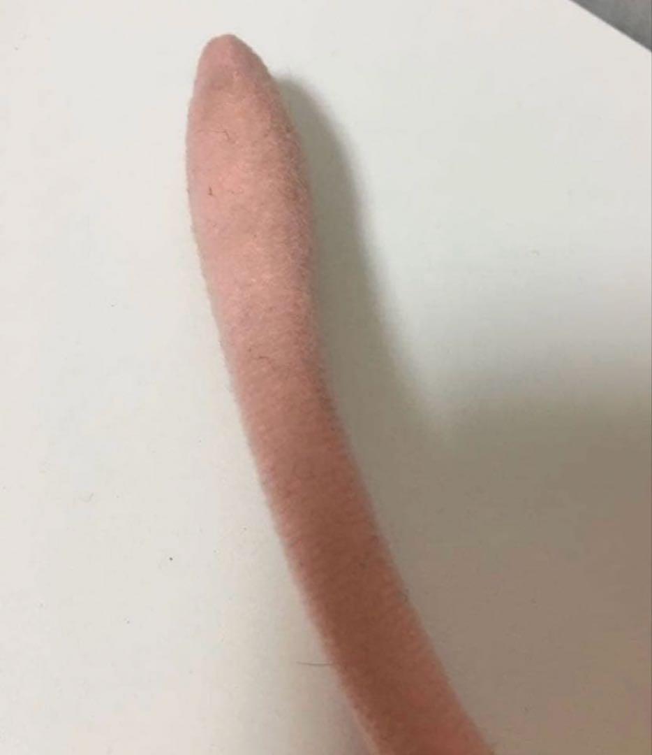 ポケモンぬいぐるみ　ギフトボックスTOMY