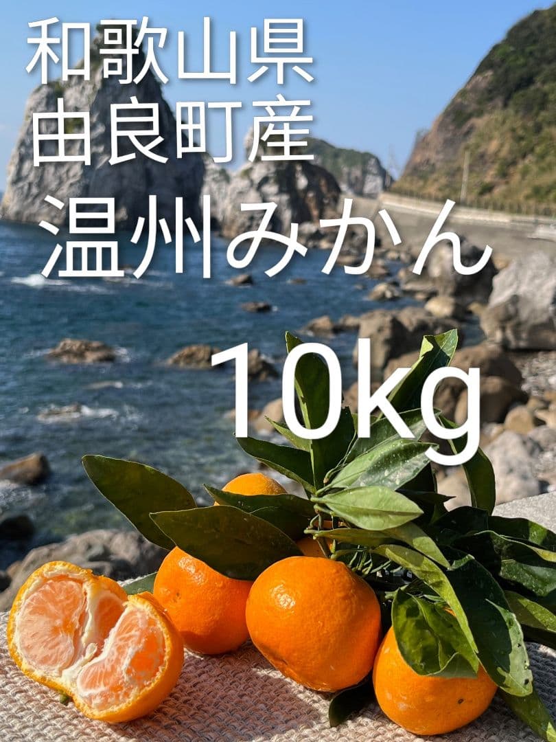 和歌山県由良町産　温州みかん（早生みかん、中生みかん）秀品10kg
