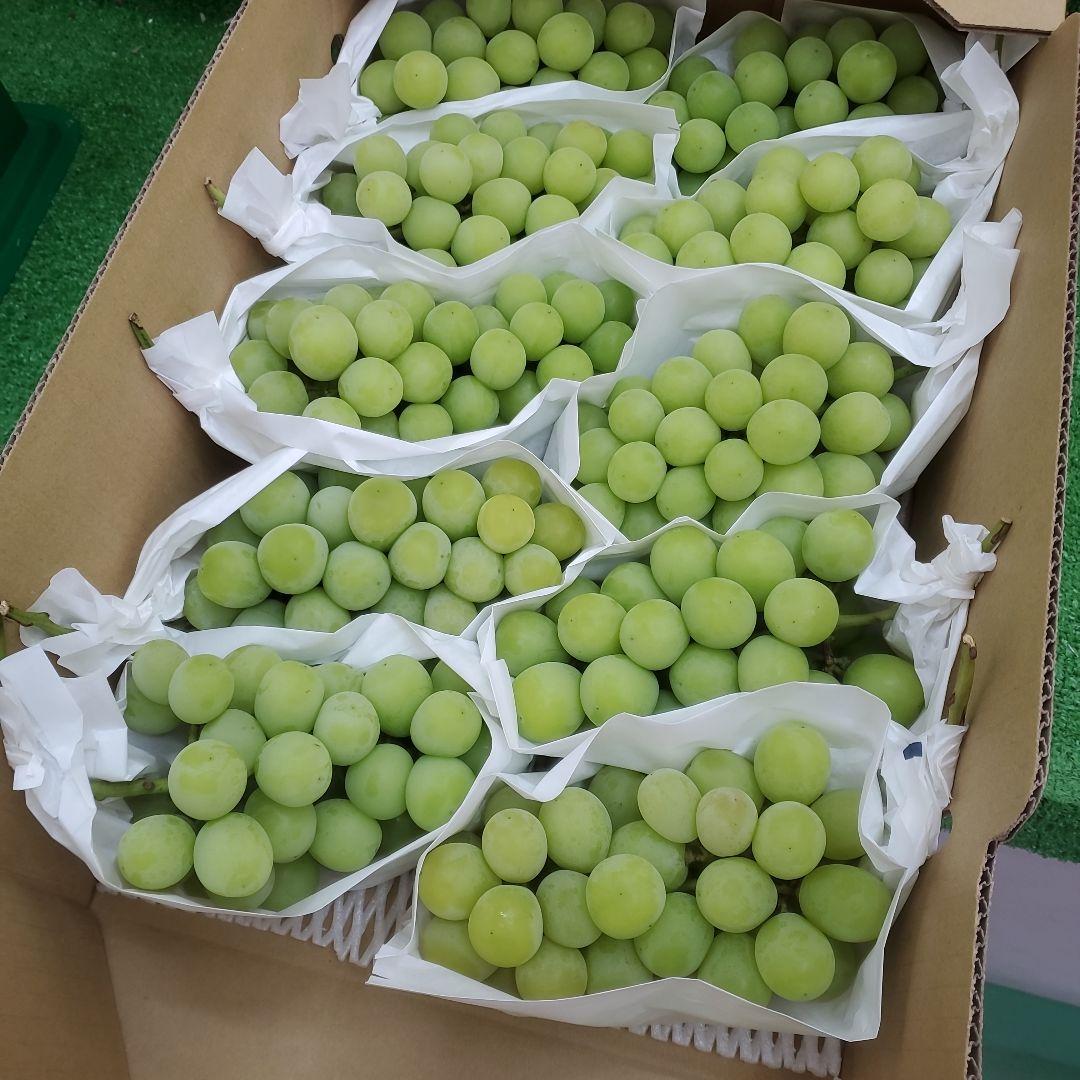 8️⃣ 山梨県産 シャインマスカット １０房入り 箱込み5.4キロ