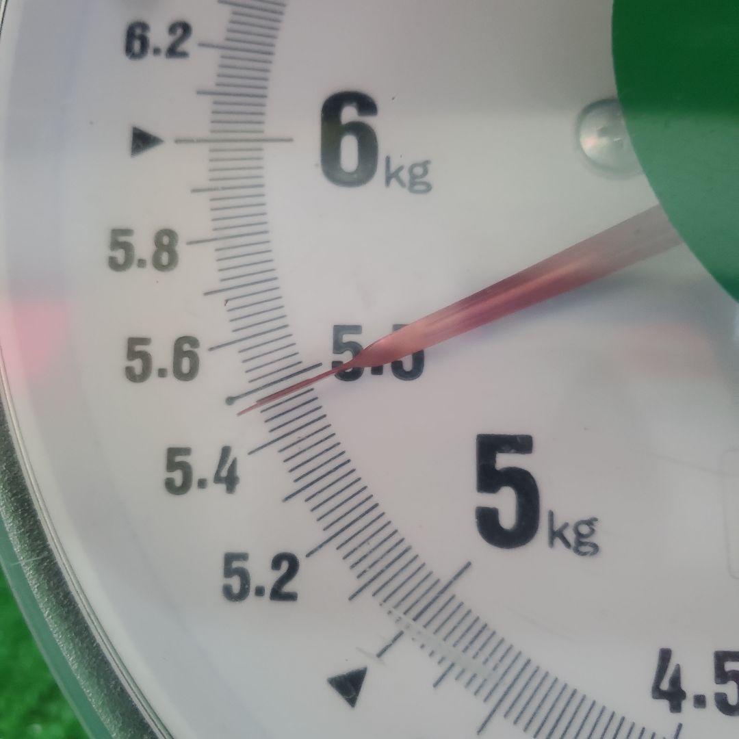 8️⃣ 山梨県産 シャインマスカット １０房入り 箱込み5.4キロ