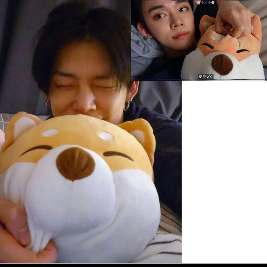 希少 TXT ヨンジュン 柴犬 ぬいぐるみ クッション プルバトゥ ファンチュン