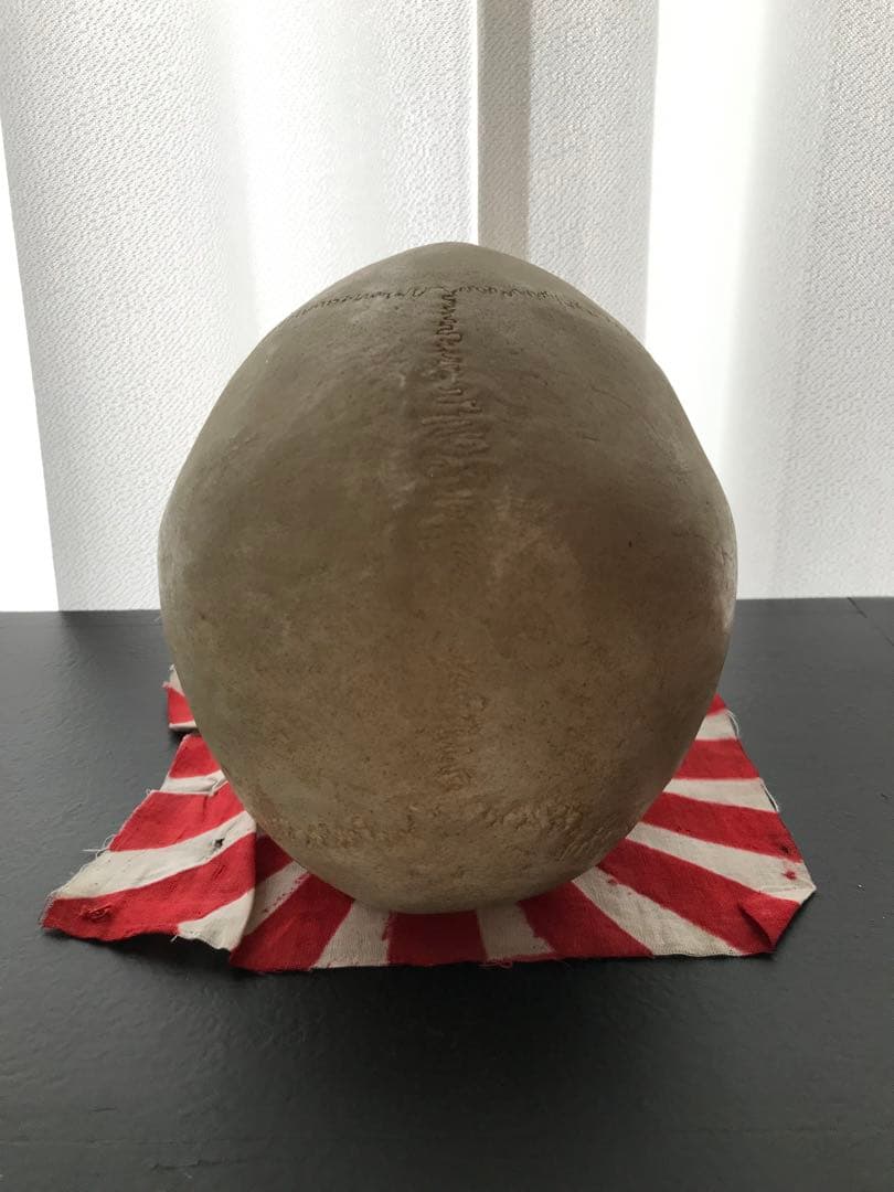 頭骨 人体模型 ドイツ 髑髏 ドクロ 置物 オブジェ アートvintage