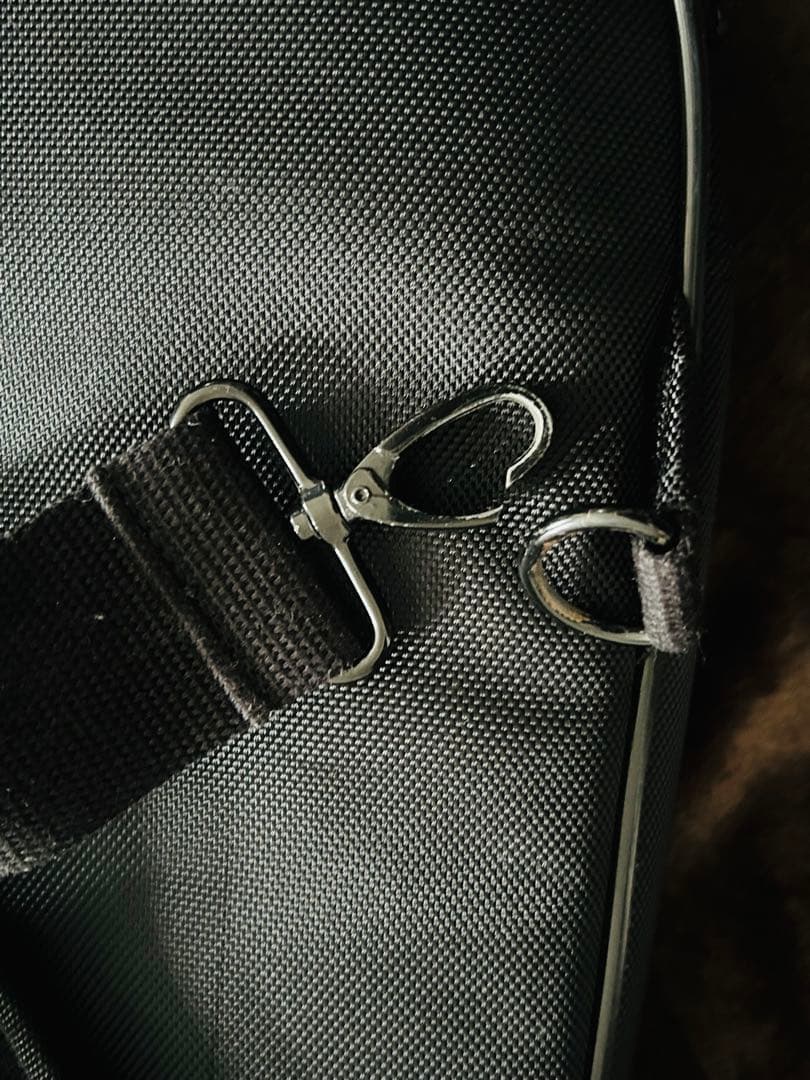 Suhr Modern Set Neck 2015年製 24F Floyd