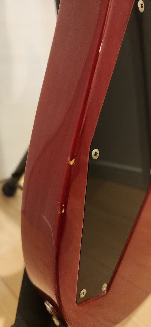 EDWARDS E-HR-120D エドワーズ スルーネック！