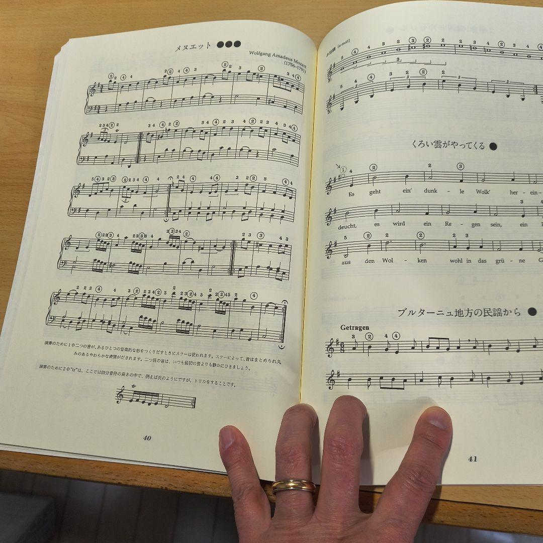 ライアー 23弦　AURIS社製（教則本付）