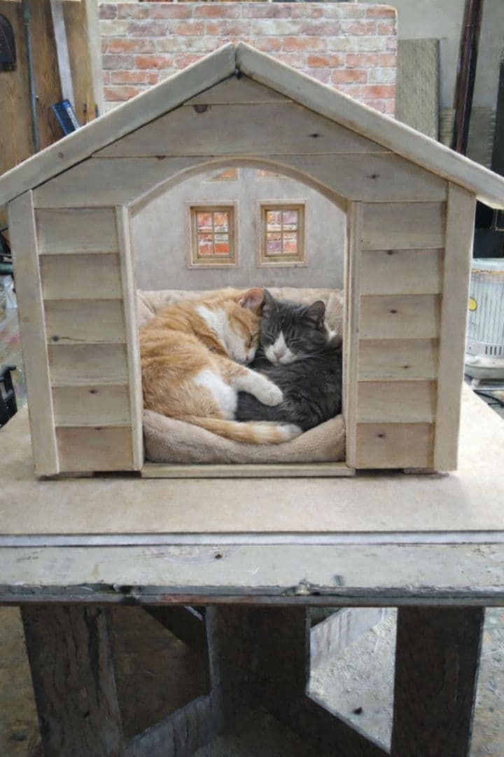 職人手作り 木製ペットハウス「Kenno」初号機　 屋根　本体と一緒に購入