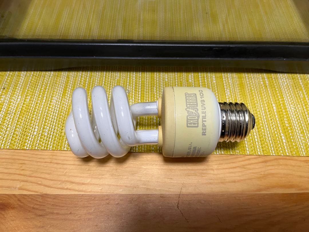 ジェックス エキゾテラ　グラステラリウム　3045 他付属品