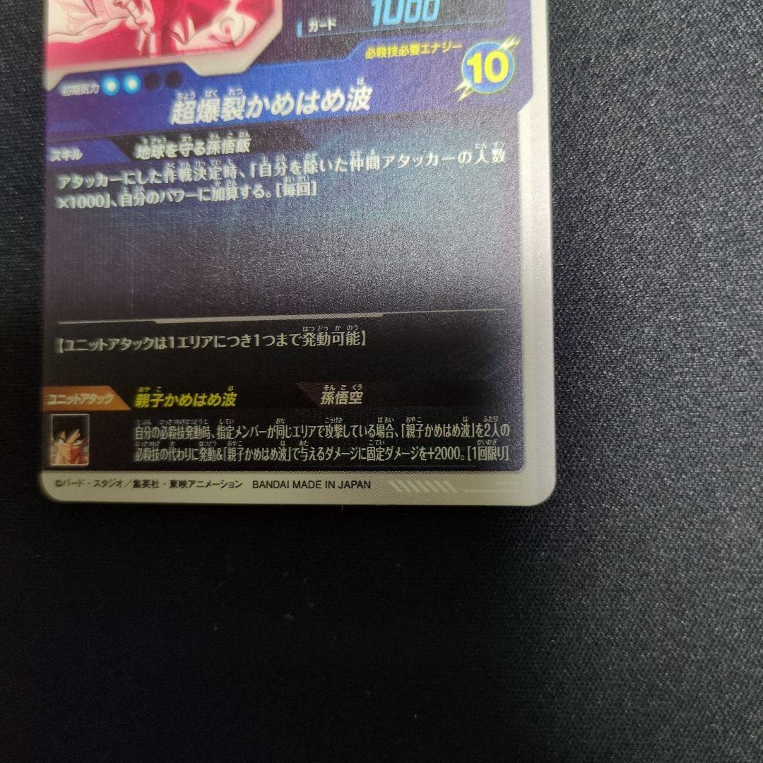 SDV5−008孫悟飯少年期　パラレル　おまけ付き