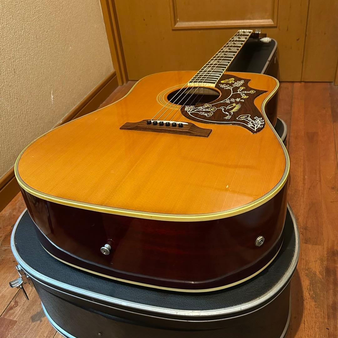 ♡*様 超レア！Orville by Gibson HUMMINGBIRDエレア