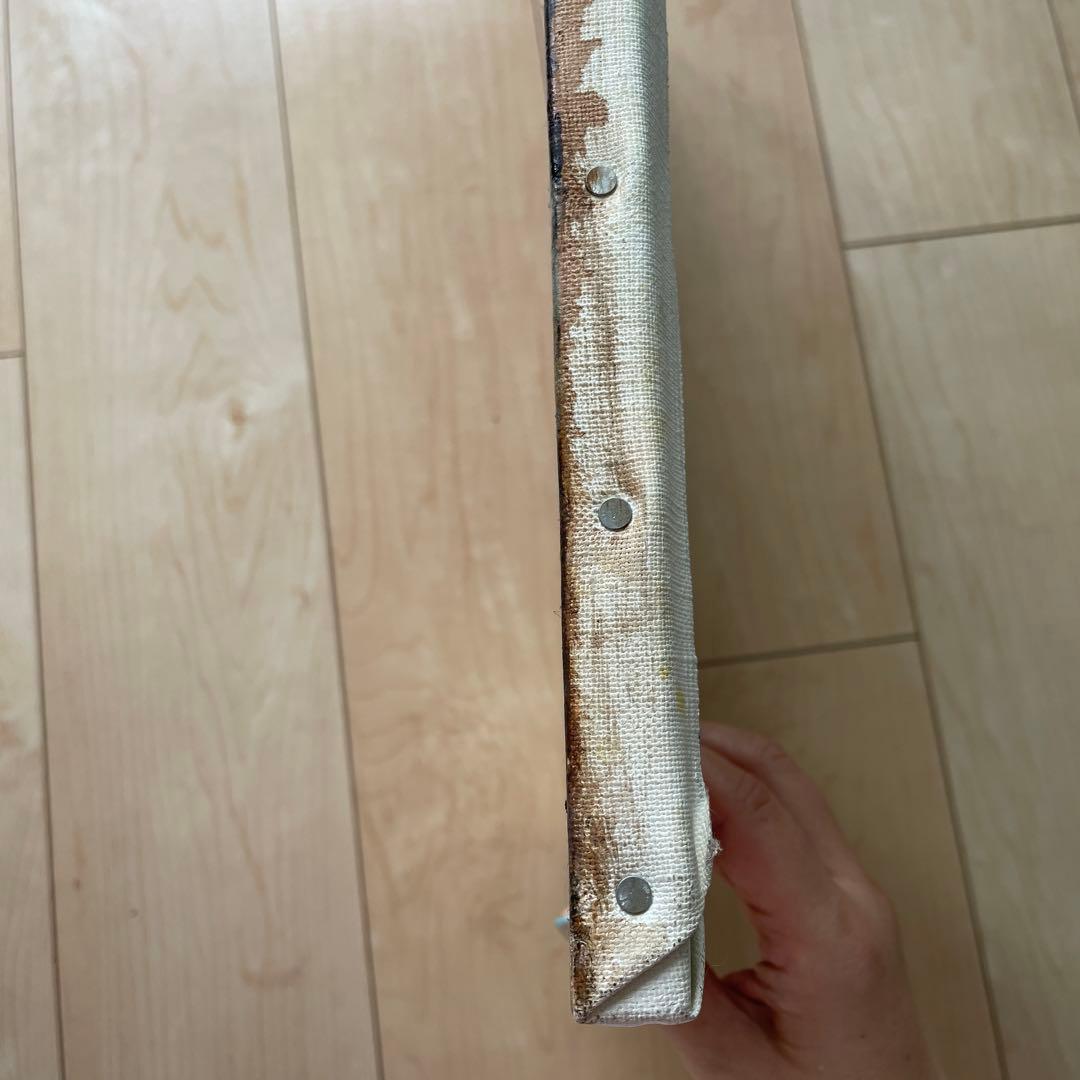 オウムと果物の油彩画 F8サイズ