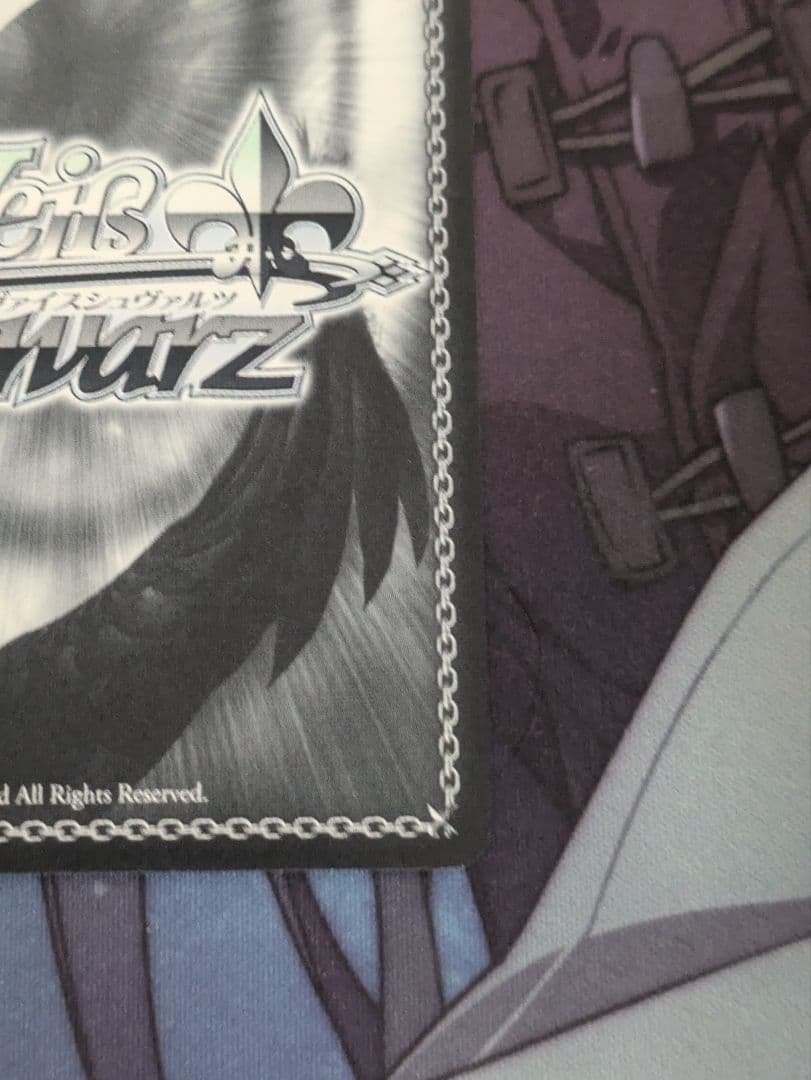 いざ！大海原へ 桜坂 しずく サイン SSP