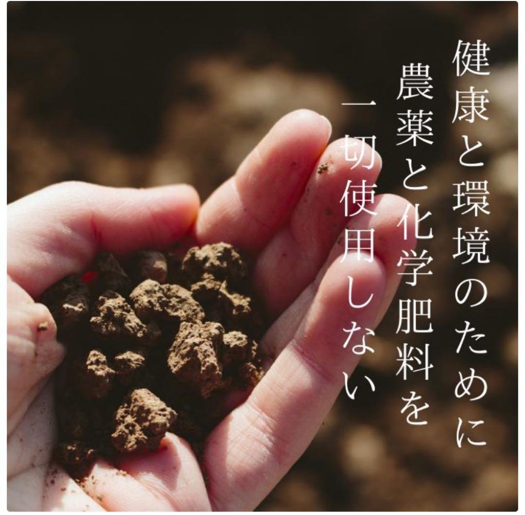 【世界月3000本限定】ハーモニーライフ酵素飲料「極み」 720ml、腸活にぜひ