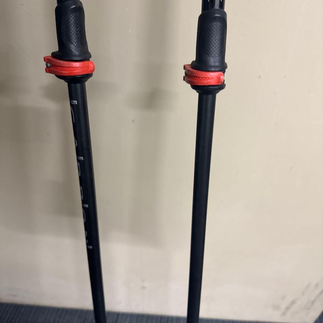 スキーポール レキ ピーク ヴァリオ S