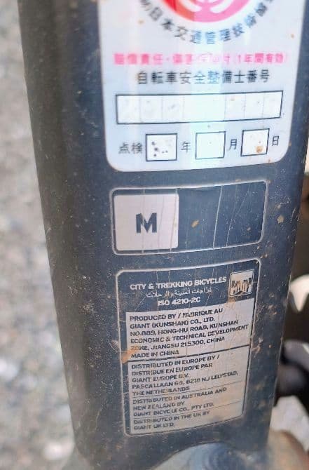 自転車本体 GIANT ESCAPE RX DISC