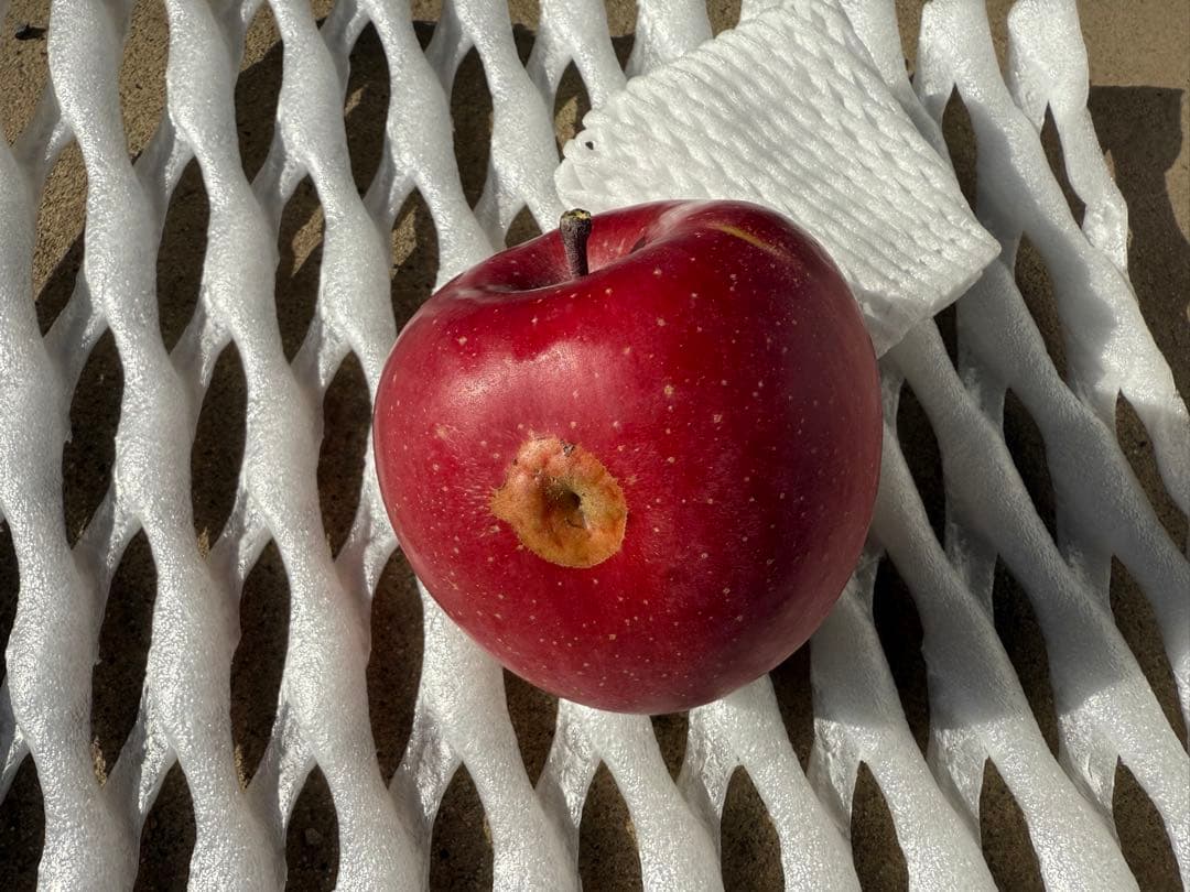 ●すみちゃん●5kg×3箱