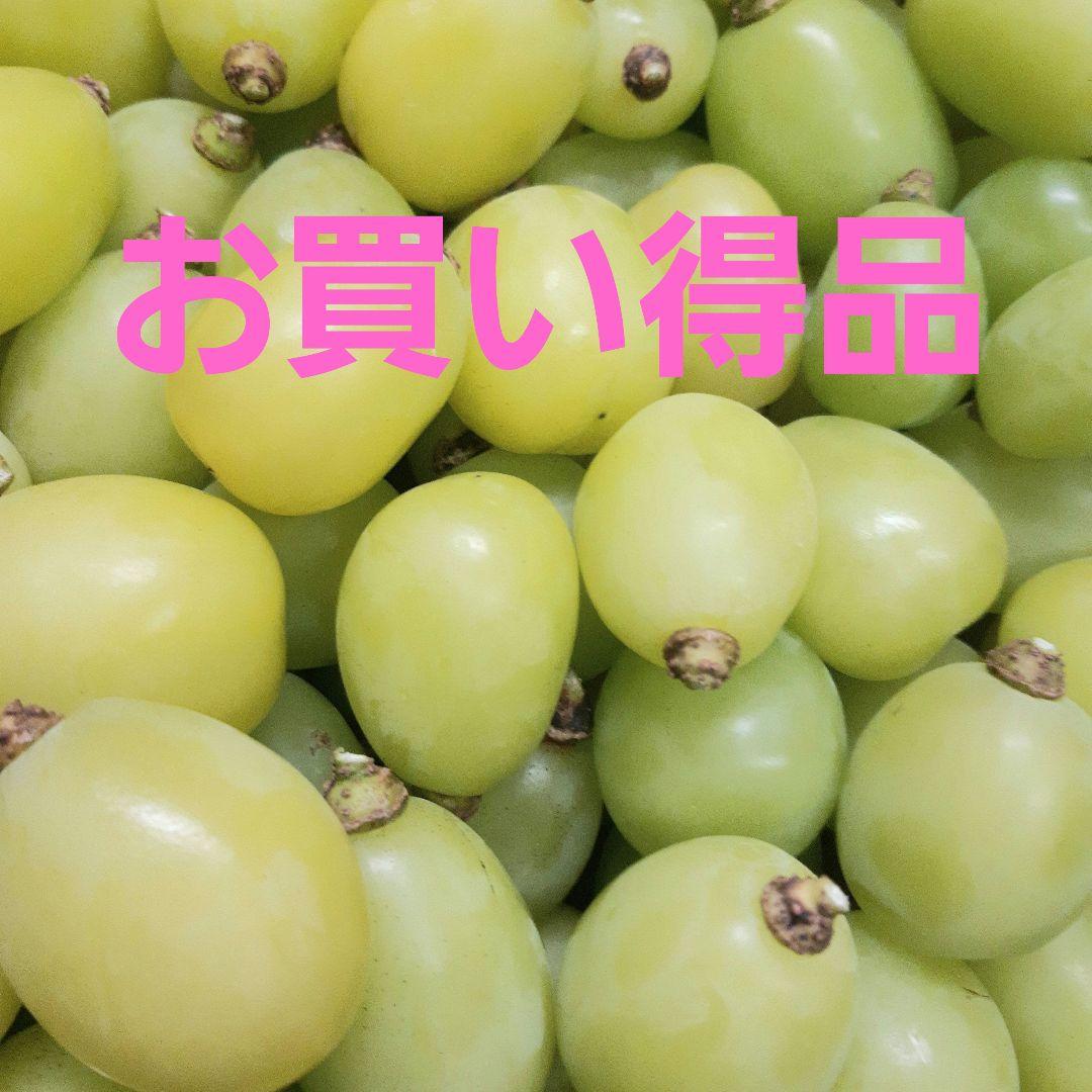 特売品のシャインマスカット増量の、徳用5.5キロ入りの粒バック入りになります。