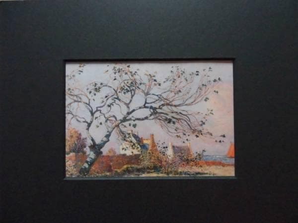 Puigaudeau、FIGUIER、希少画集画、新品額装付
