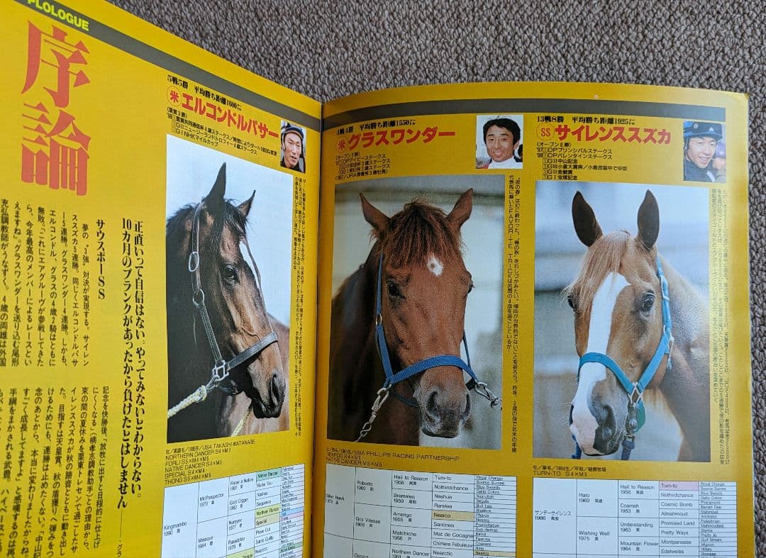 第49回 毎日王冠　優勝馬サイレンススズカ馬券、ぬいぐるみ等セット