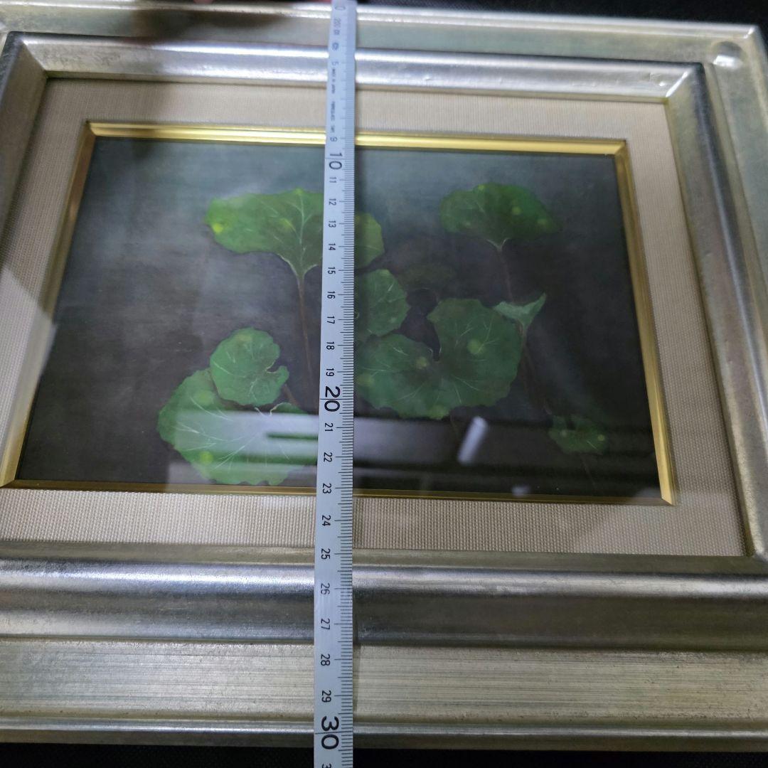 絵画 水彩画 芸術品 美術品 額縁 額装 インテリア フキ 蕗 植物 蓮