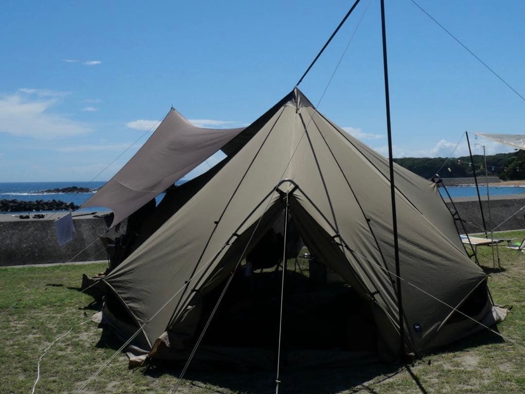 1回のみ使用★ZANE ARTS ゼクーM TC