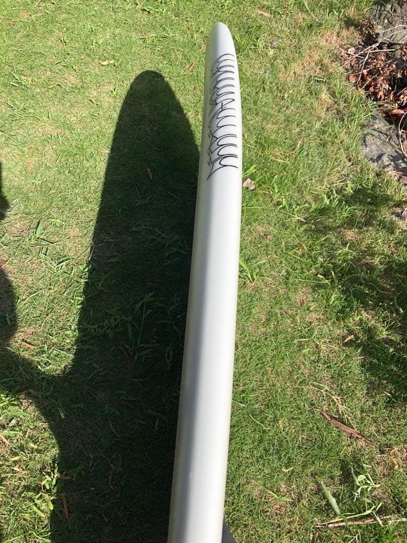 ツインフィッシュ