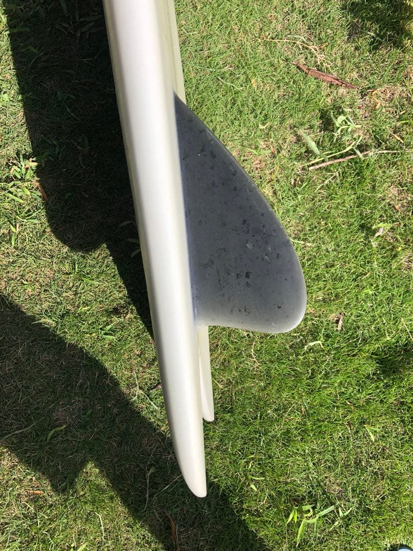 ツインフィッシュ