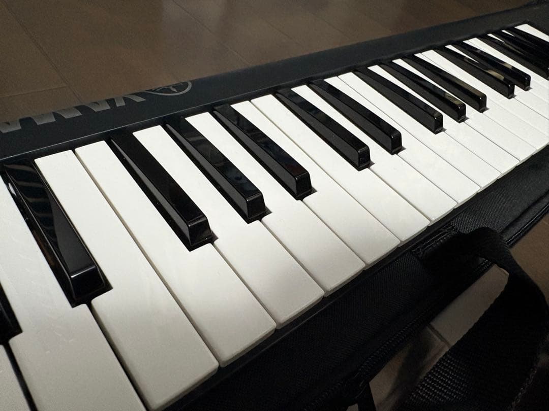 付属品・ケース付き YAMAHA sonogenic SHS-500【25年製】