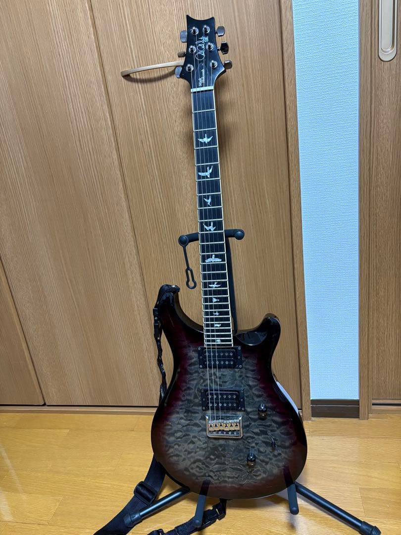 ギター Paul Reed Smith / SE Mark Holcomb