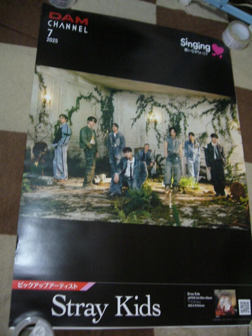 103ｃｍ×73ｃｍ 超特大B1 ポスター Stray Kids
