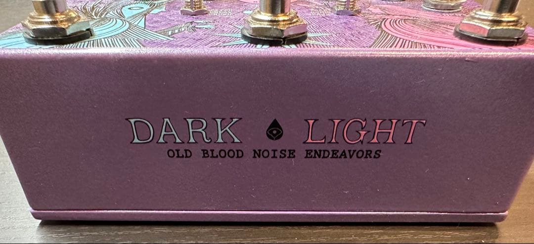 ギター OLD BLOOD NOISE ENDEAVORS DARK LIGHT