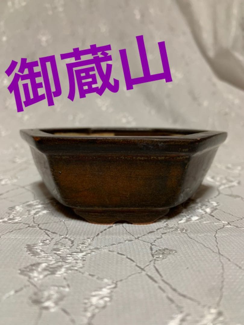 御蔵山　盆栽鉢
