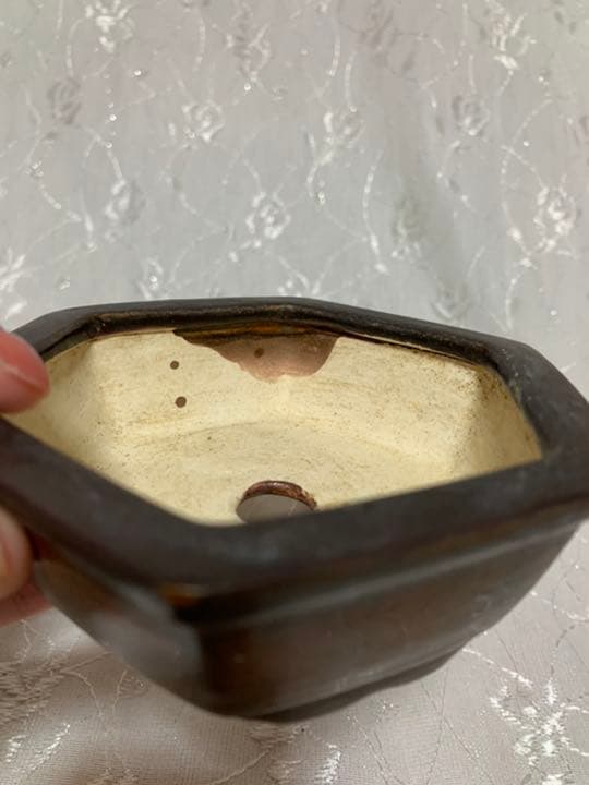 御蔵山　盆栽鉢