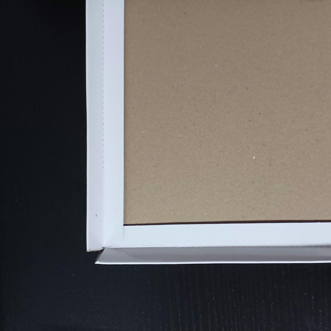 冨岡義勇　キャラファイングラフ　全巻購入特典　鬼滅の刃