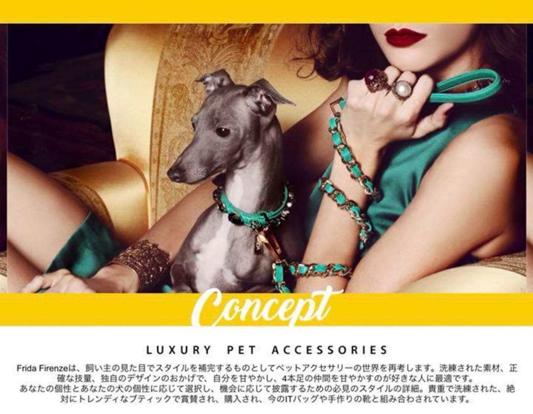 frida Firenze 犬の首輪　犬　ペット　散歩　レザー　赤