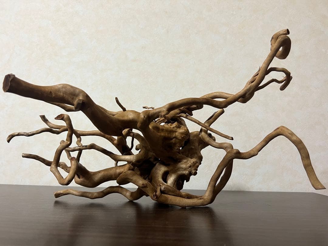 70215 ブランチウッド　流木　アクアリウム　沈水確認済