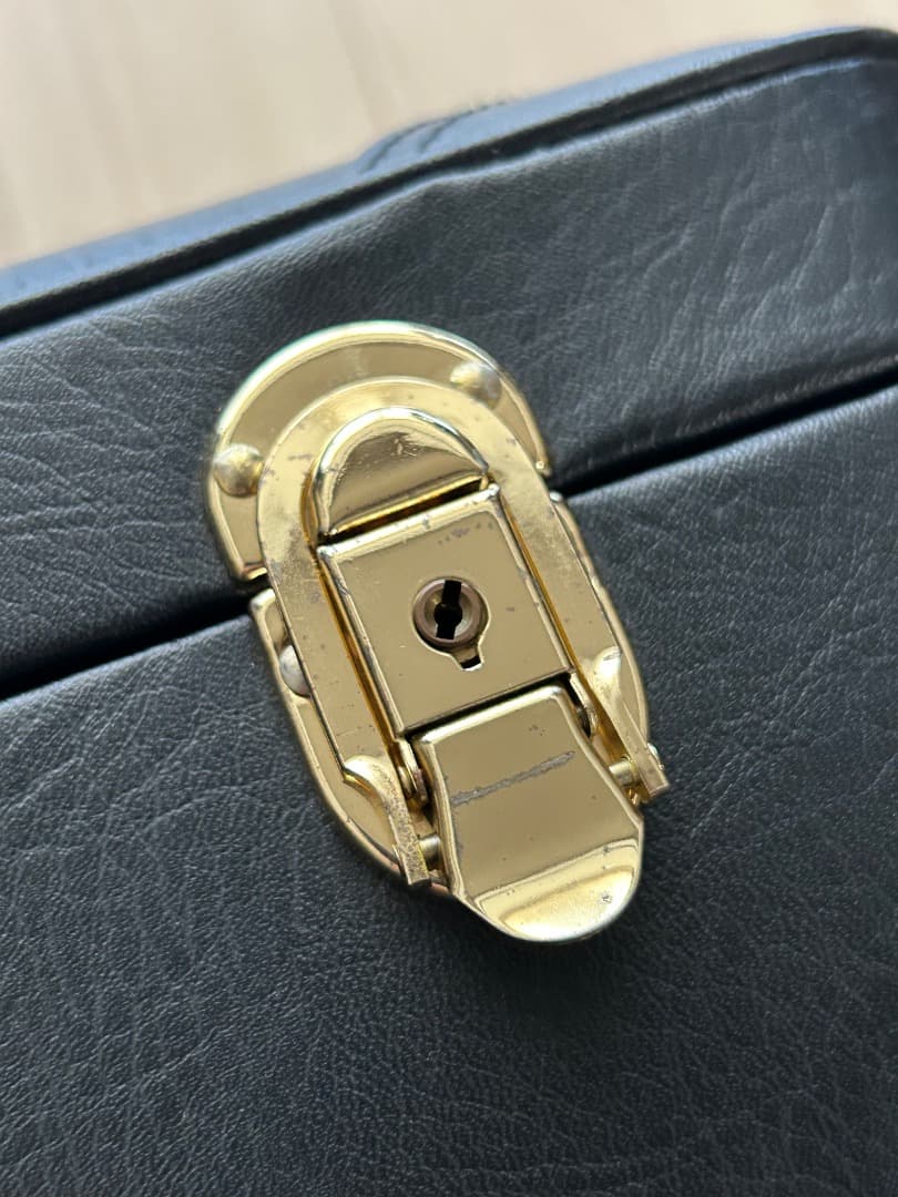 ヤナギサワ　アルトサックス・ケース