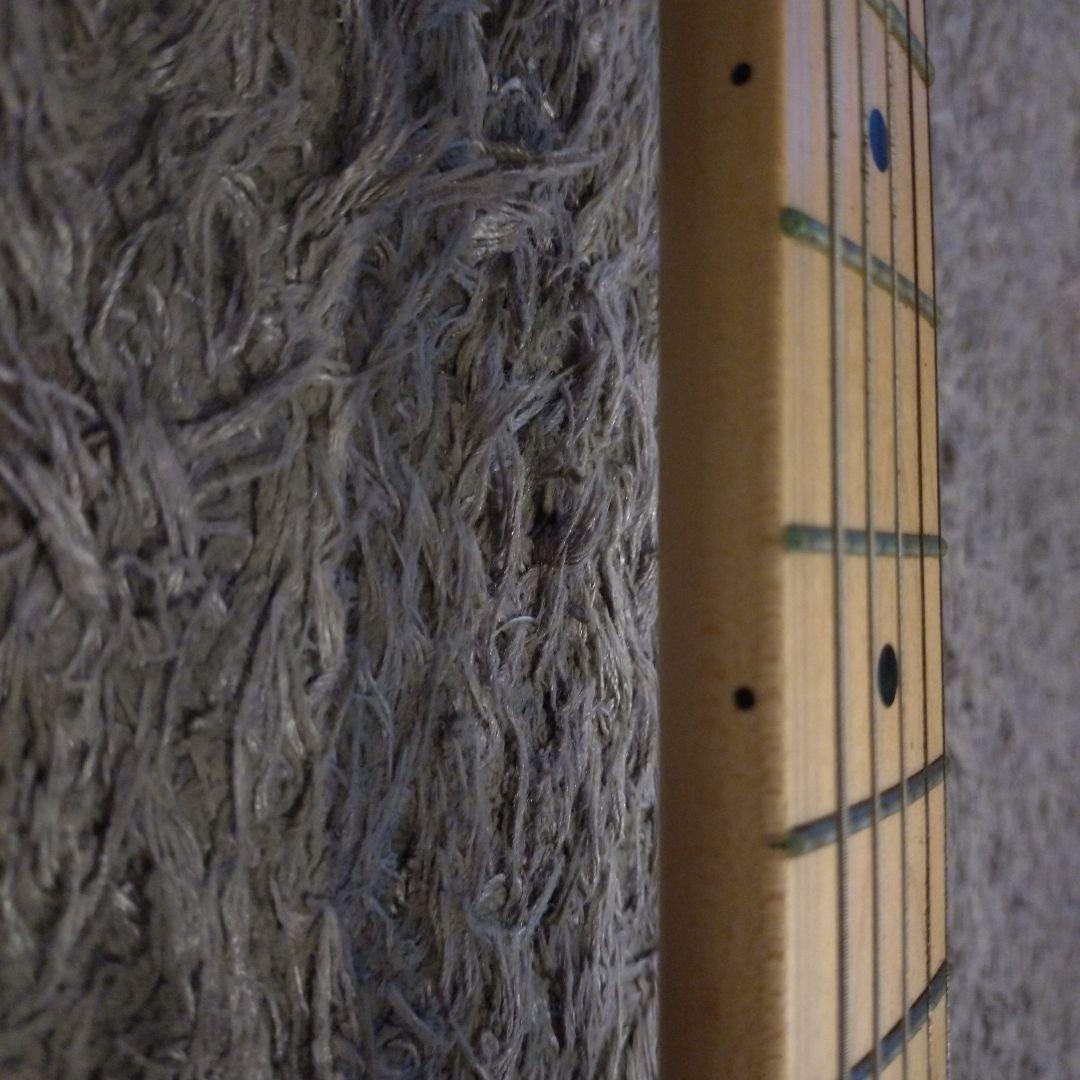 ギター FGN Odyssey J-Standard Fire Burst