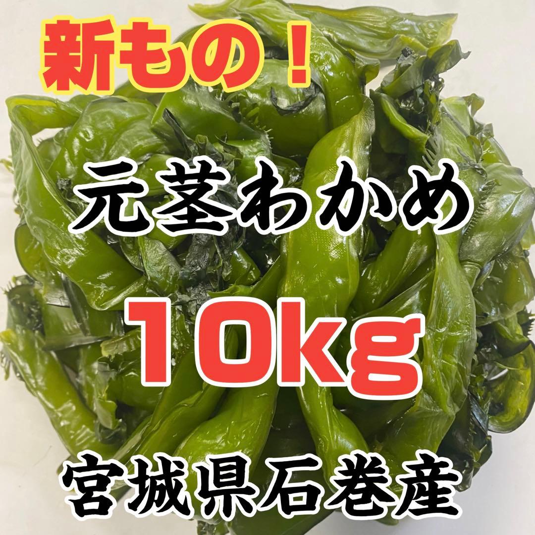 元茎わかめ　宮城県石巻産　新もの！15キロ